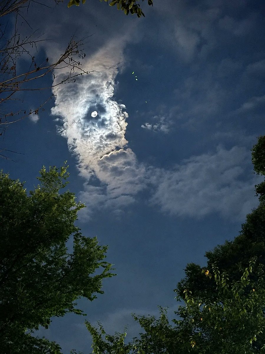 night scene with full moon and clouds