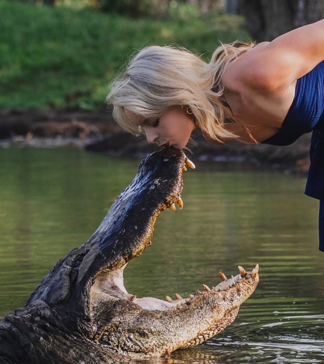 Kat 14-foot alligator graduation photos