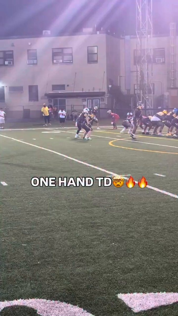 One handed TD catch Pittsburgh Buffalo