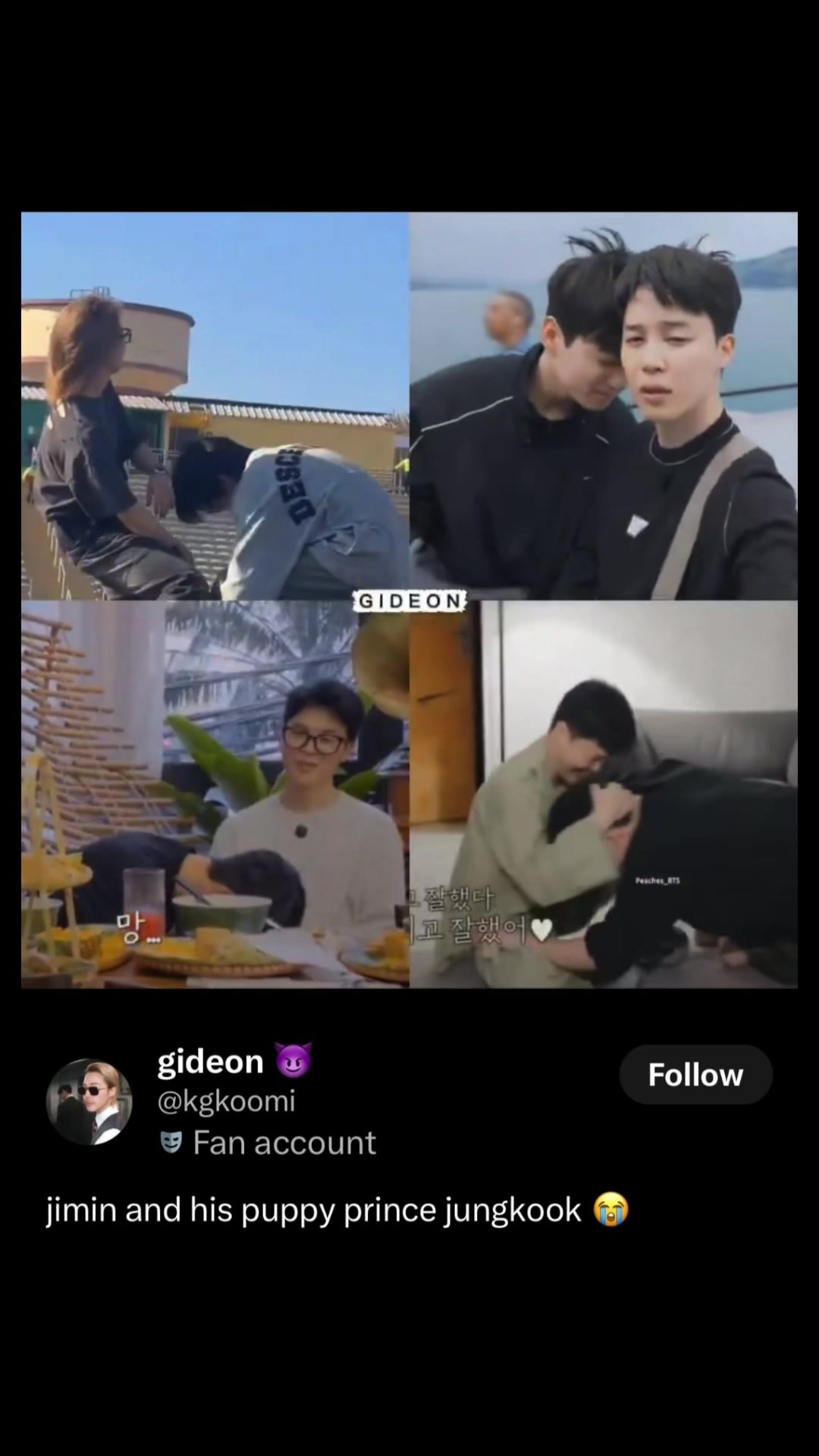 Jimin and his puppy