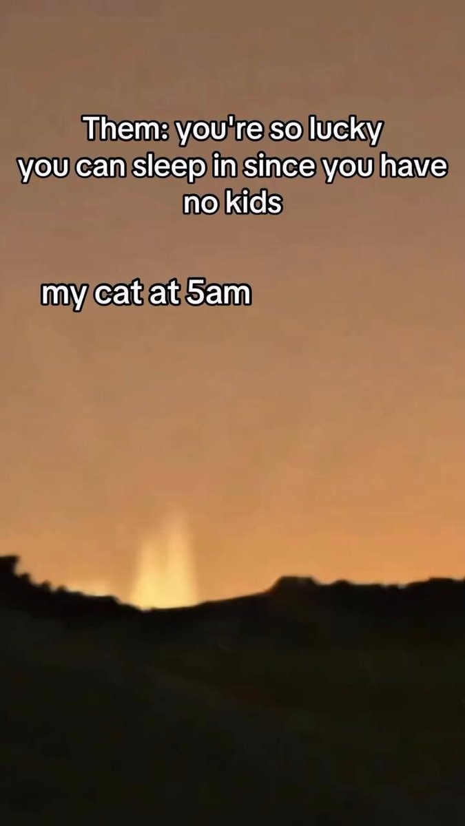 Cat waking owner at 5am