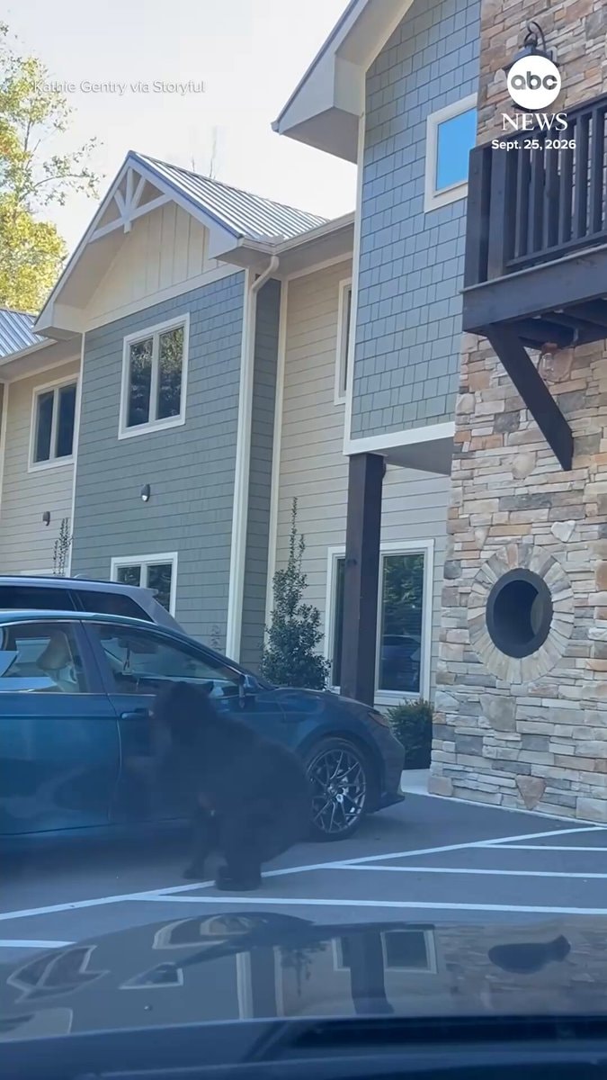 Bear opens car door Gatlinburg
