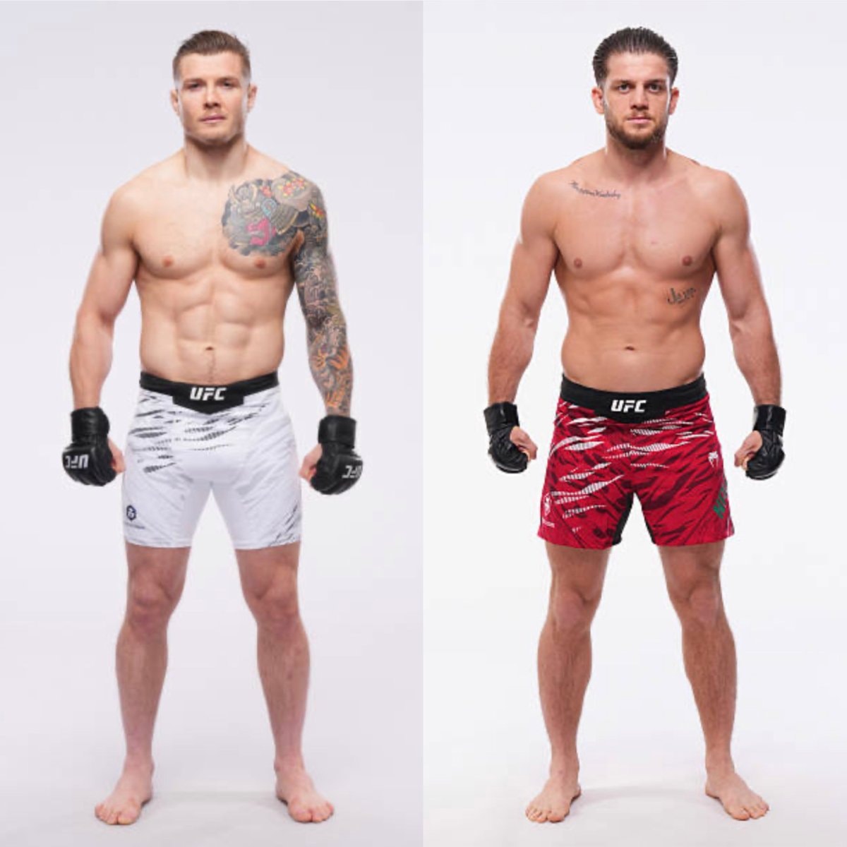 Marvin Vettori vs Ismail Naurdiev UFC332 Marvin Vettori vs Ismail Naurdiev UFC332