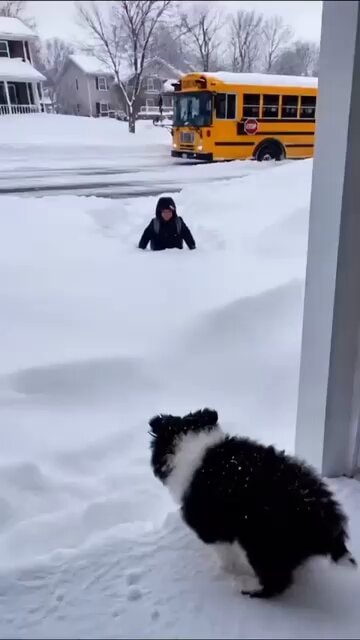 touching moment about love