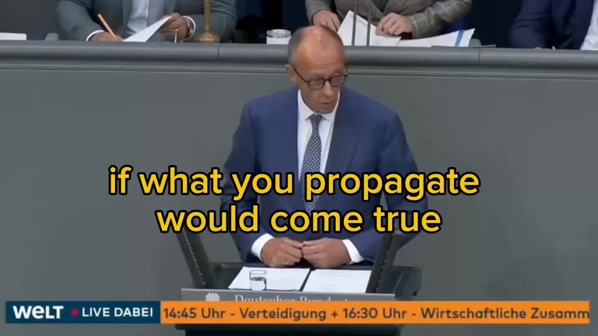 Merz calls AfD remigration ethnic cleansing