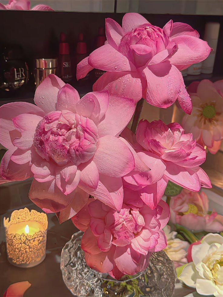 Pink lotus flowers in vase (photo 3 of 4)