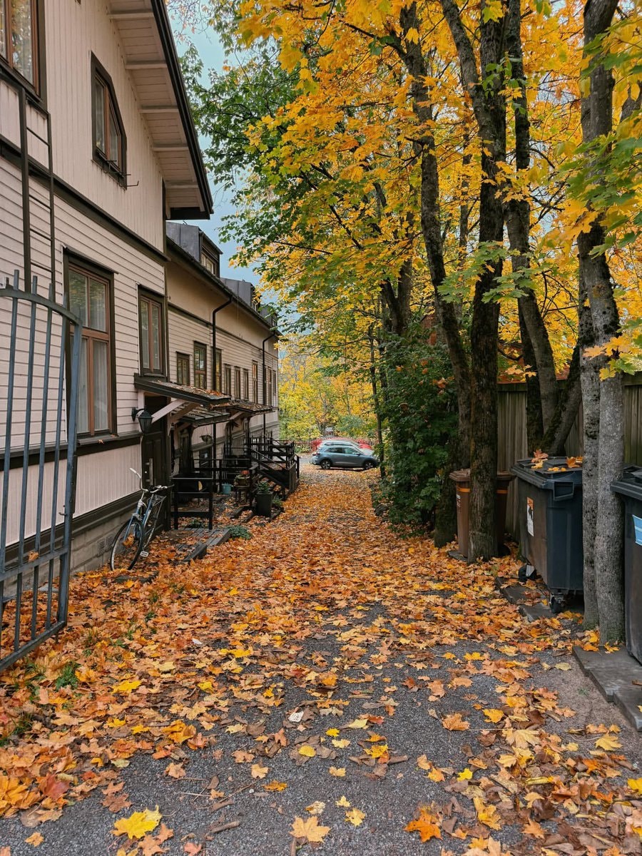 Autumn in Finland park (photo 2 of 4)