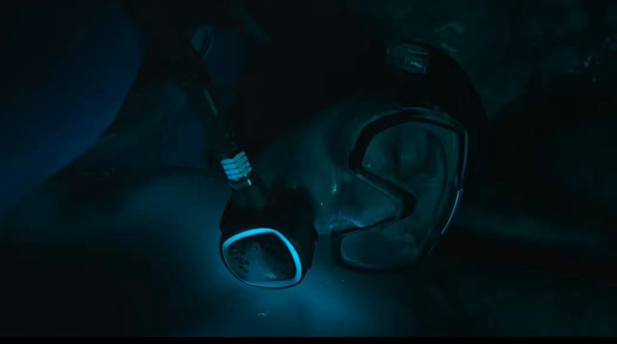WHALEFALL scuba diver inside sperm whale