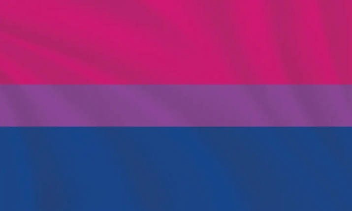 Celebrate Bisexuality Day flag