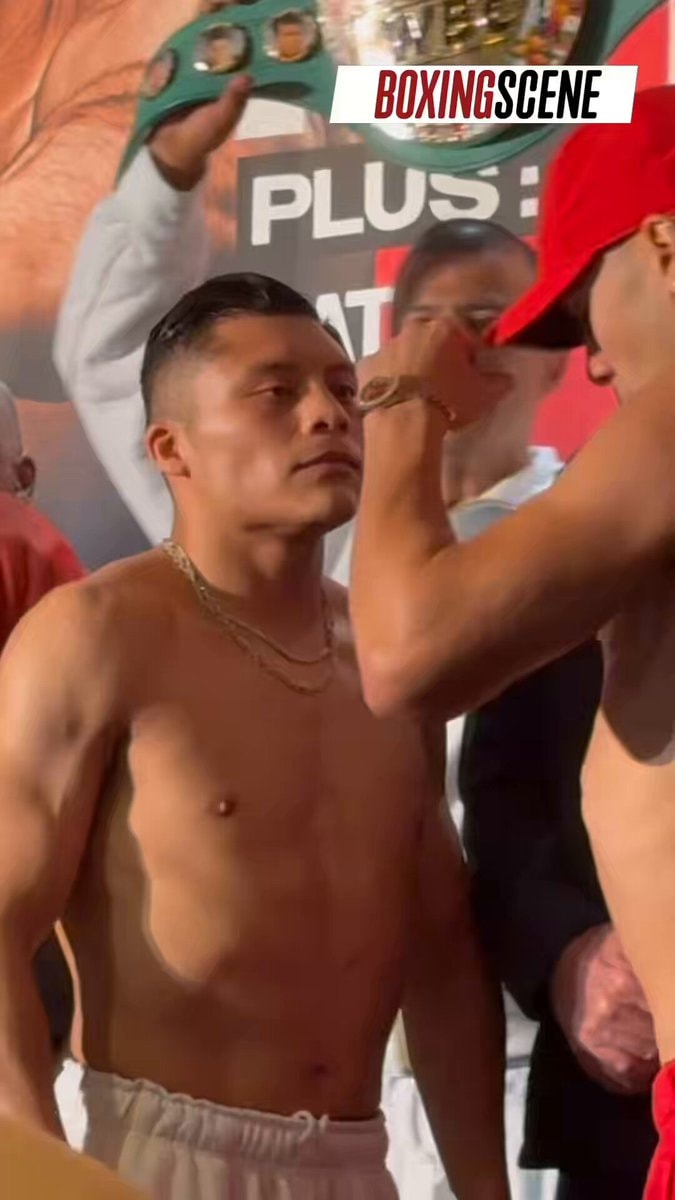 Pitbull vs Bravo face-off