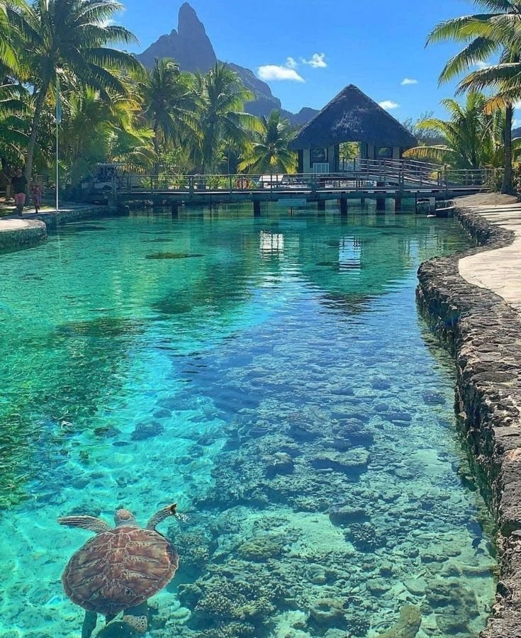 Bora Bora French Polynesia Bora Bora French Polynesia