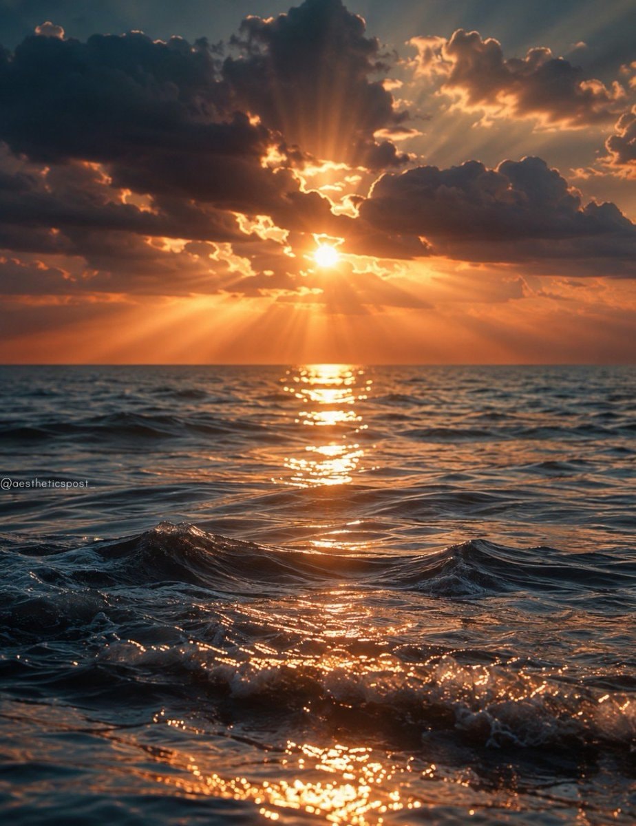 sunset ocean golden light