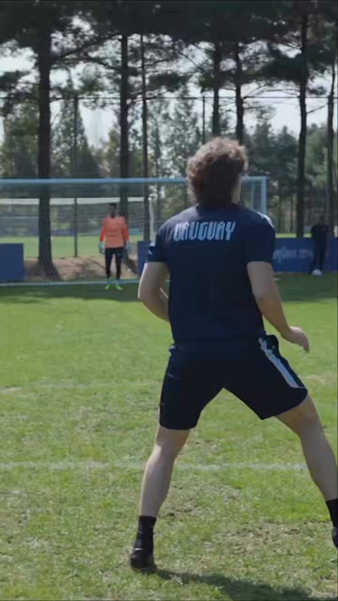 Diego Forlan soccer performance