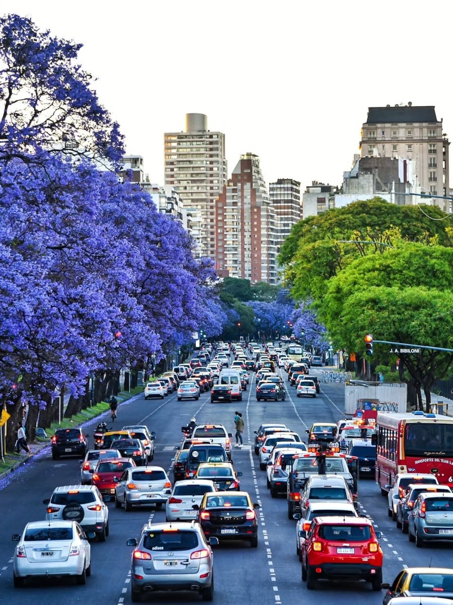 busy city street scene