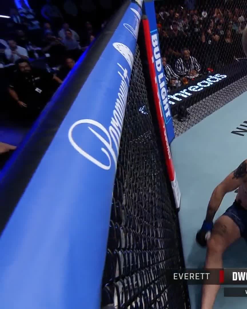 Sal Everett knockout DWCS