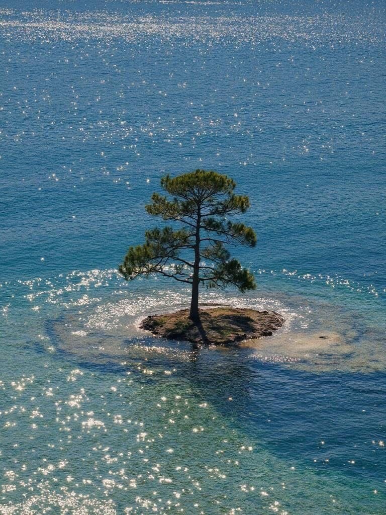 lone tree in blue water (photo 2 of 2)
