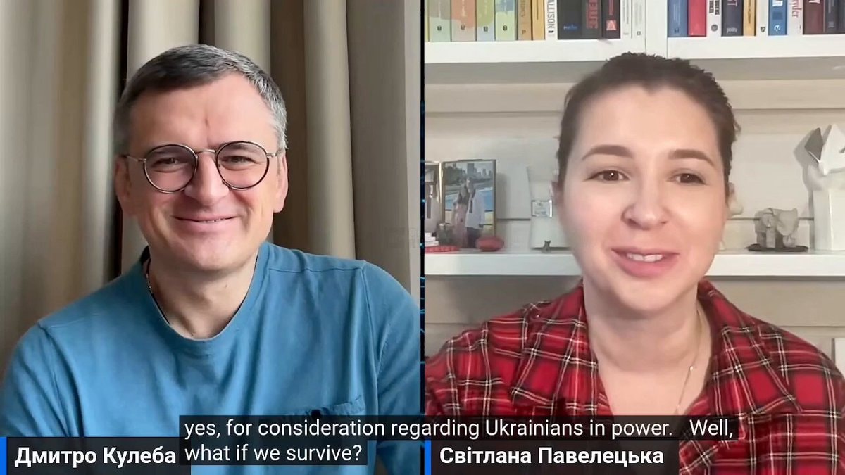Dmytro Kuleba on working with AfD