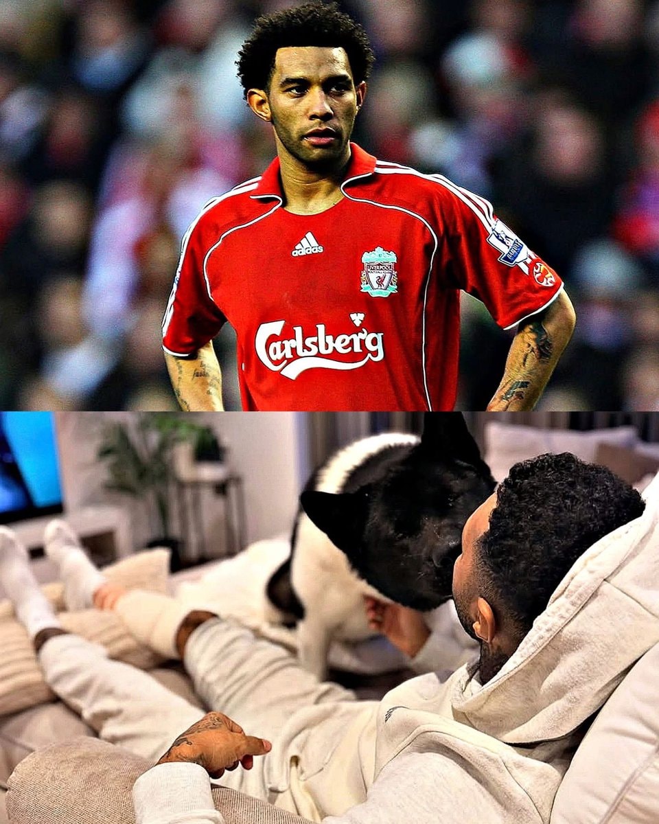 Jermaine Pennant dog Rey saves him