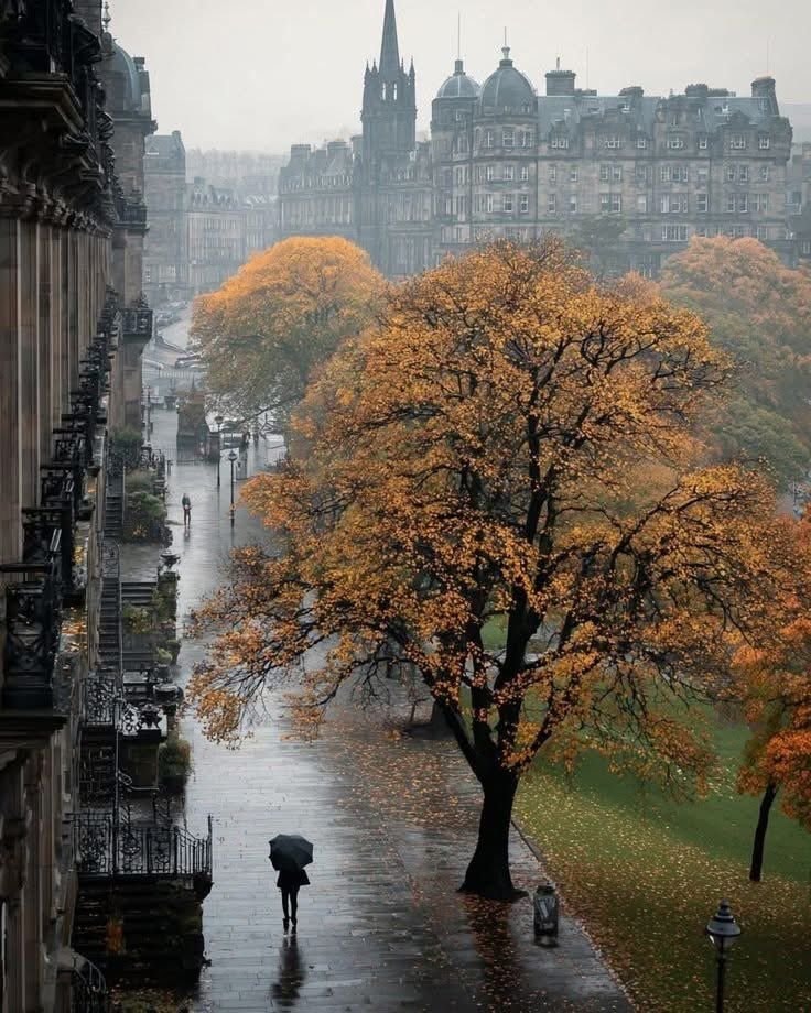 rainy edinburgh street scene (photo 4 of 4)