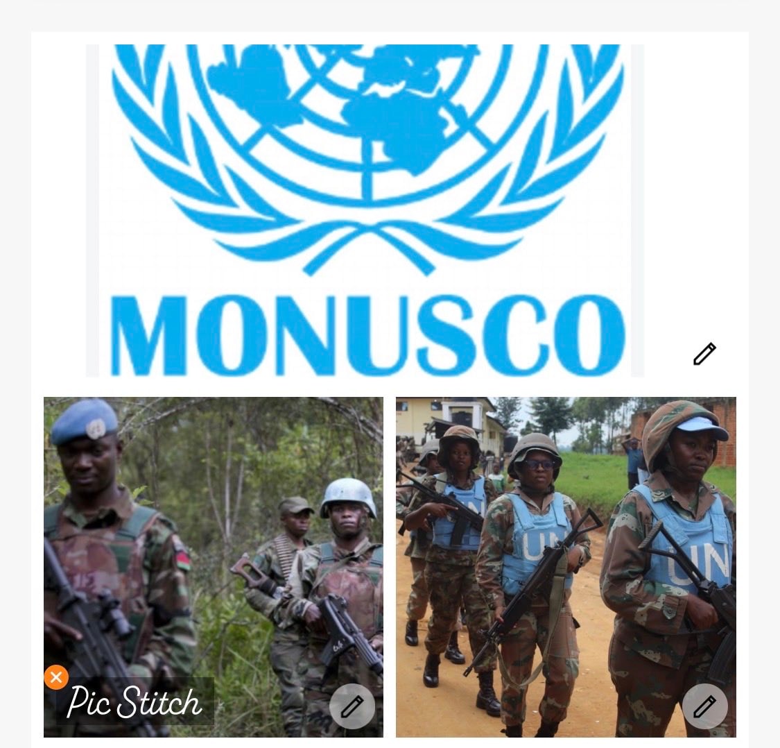 MONUSCO and Tanzanian Blue Helmets in DRC