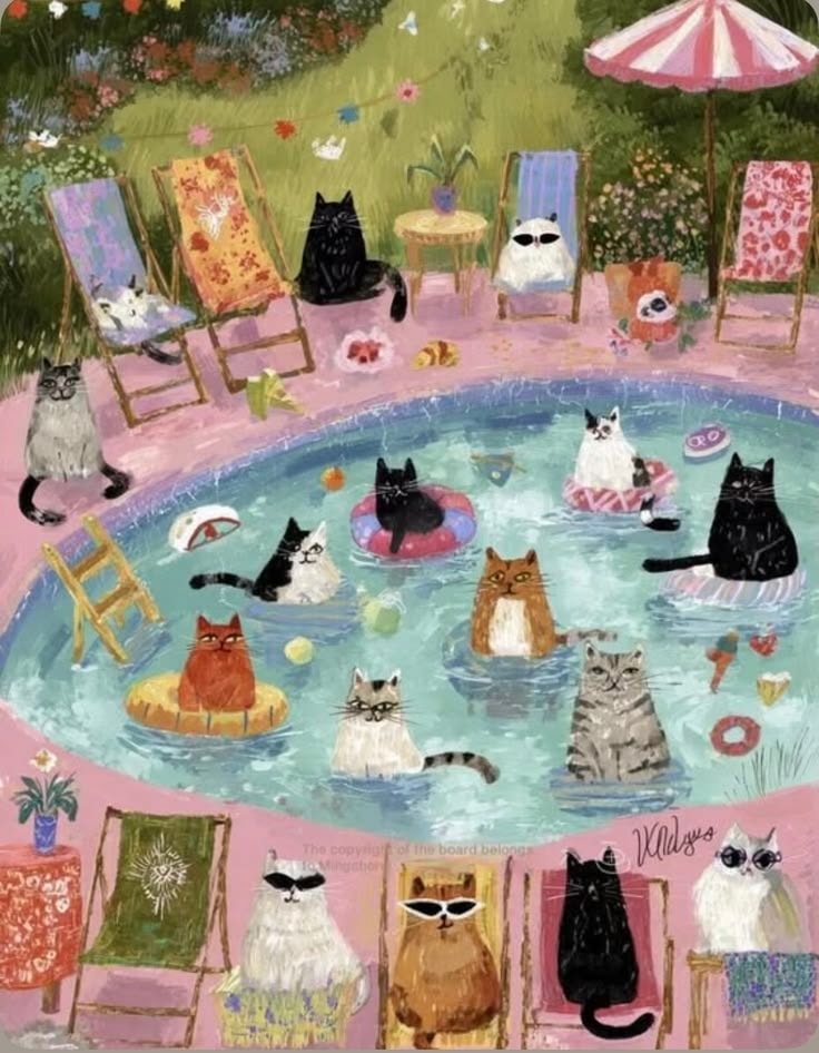 cats pool party Mingchen