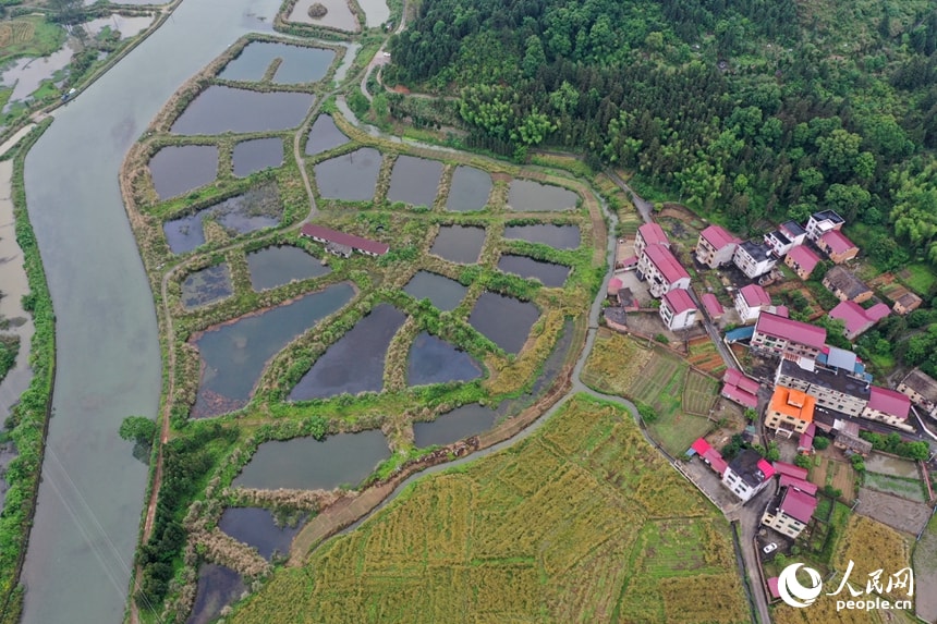 Yanbei Village Jiangxi early summer (photo 3 of 4)