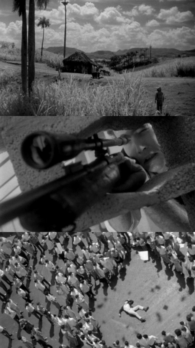 same director same cinematographer (photo 2 of 3)