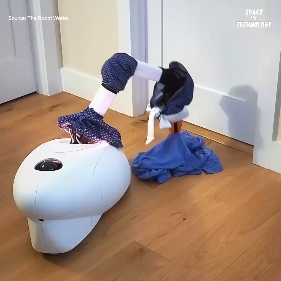 Goose robotic maid features
