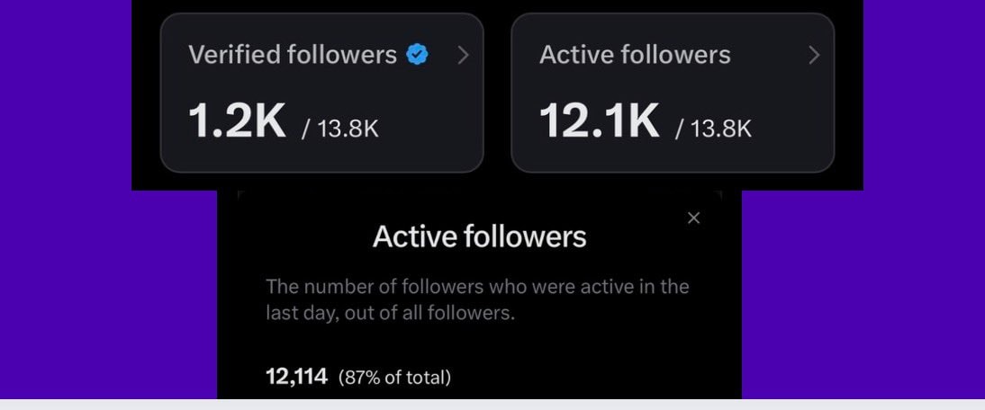 X active followers analytics (photo 2 of 2)