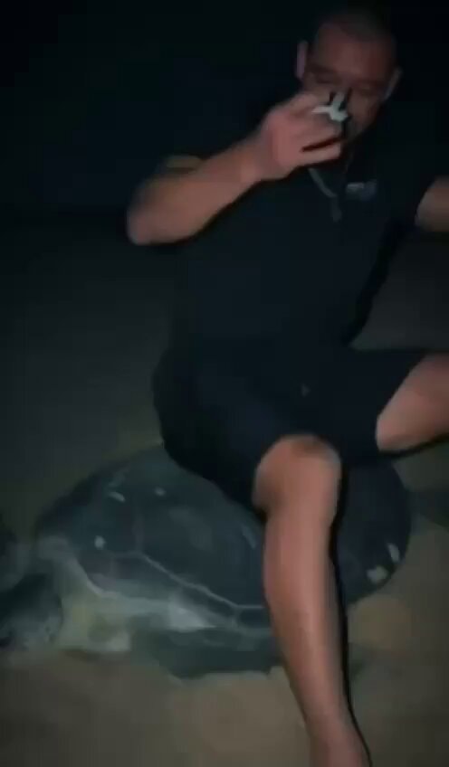 Vadym Oleynik sea turtle Oman backlash