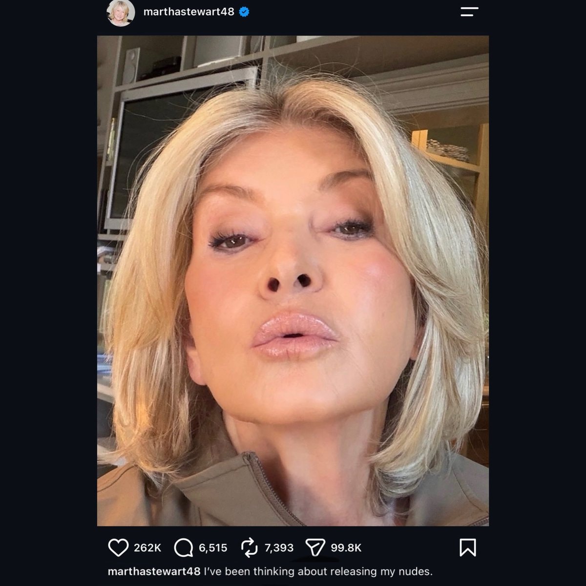 Martha Stewart nudes consideration