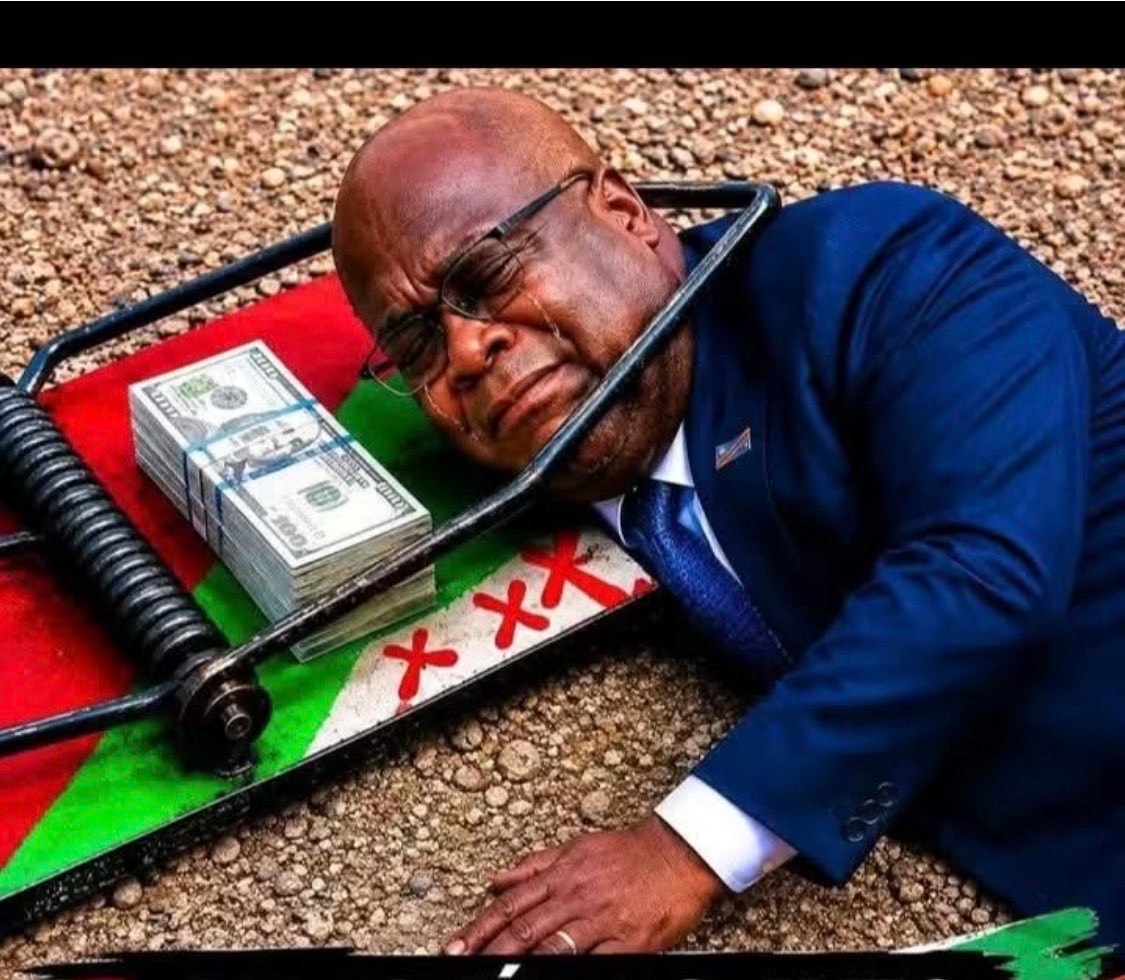 Tshisekedi raids Belgium