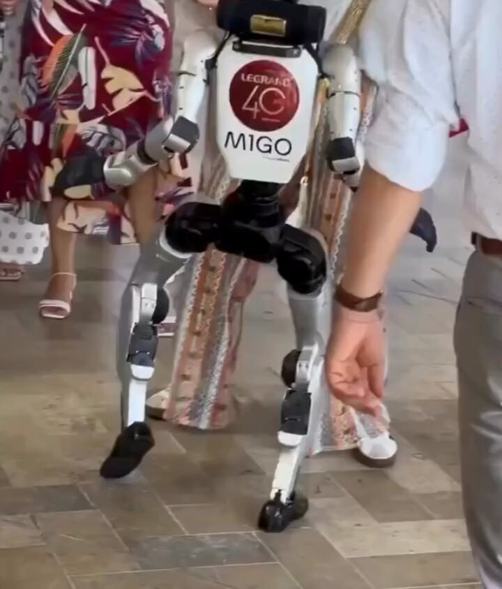 ROBOlation oil moment