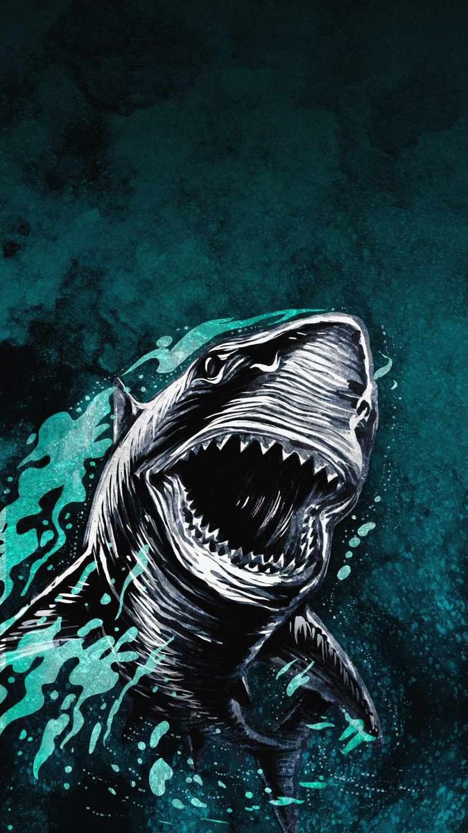 Shark drawing with open mouth