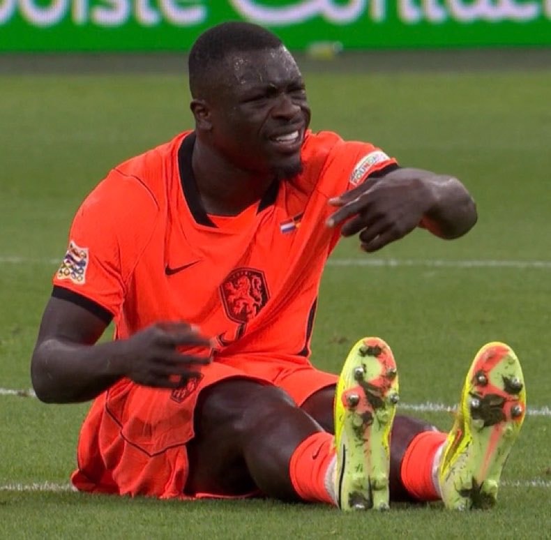 Netherlands player distressed on grass
