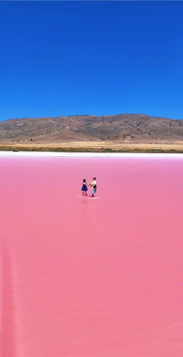 Pink salt lake in Ankara Turkey (photo 3 of 4)
