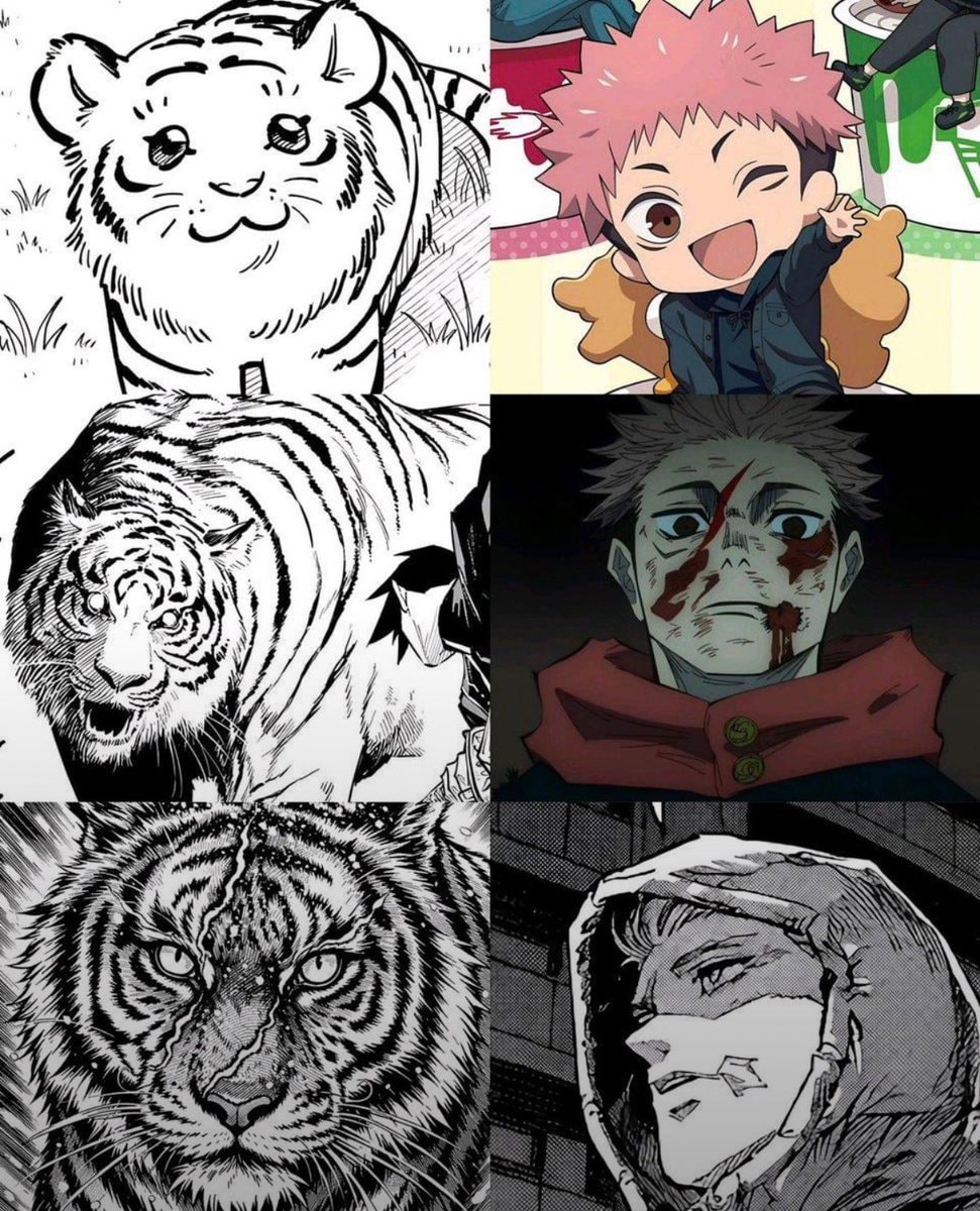 Jujutsu Kaisen tiger collage