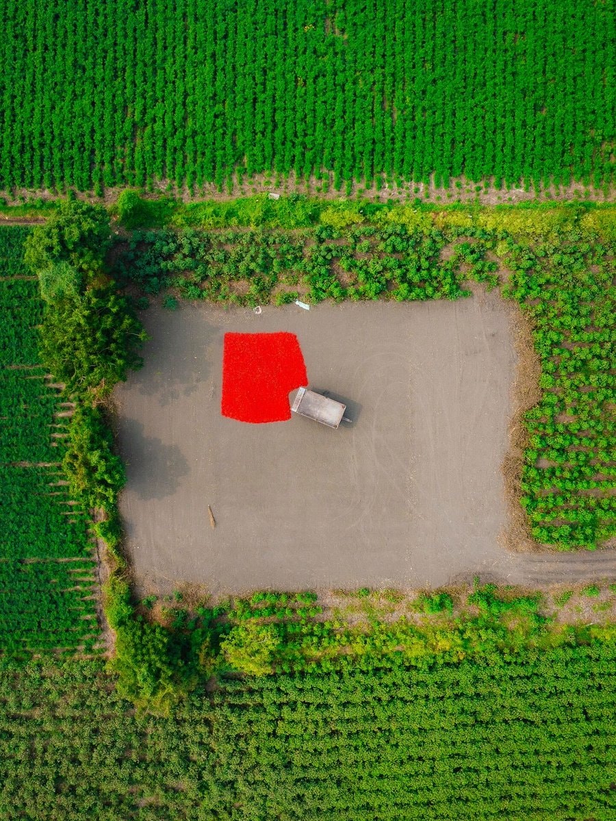 Guntur India chili fields aerial view (photo 3 of 4)