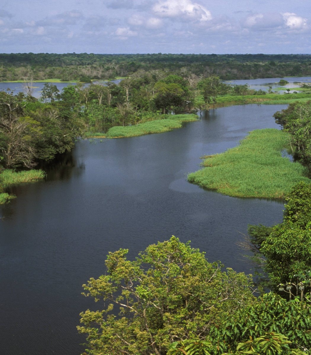 Amazon deforestation record low Brazil