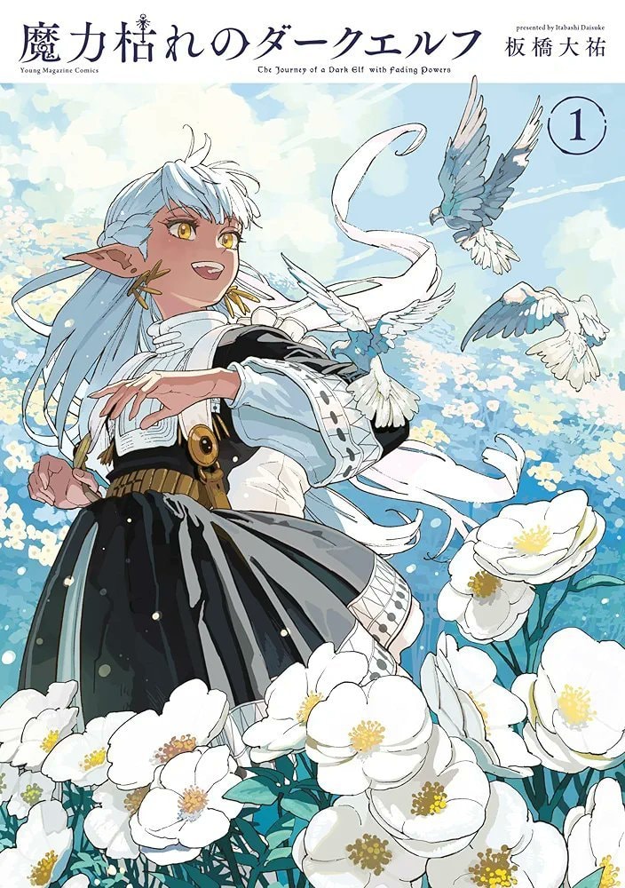 The Journey of a Dark Elf with Fading Powers English print release