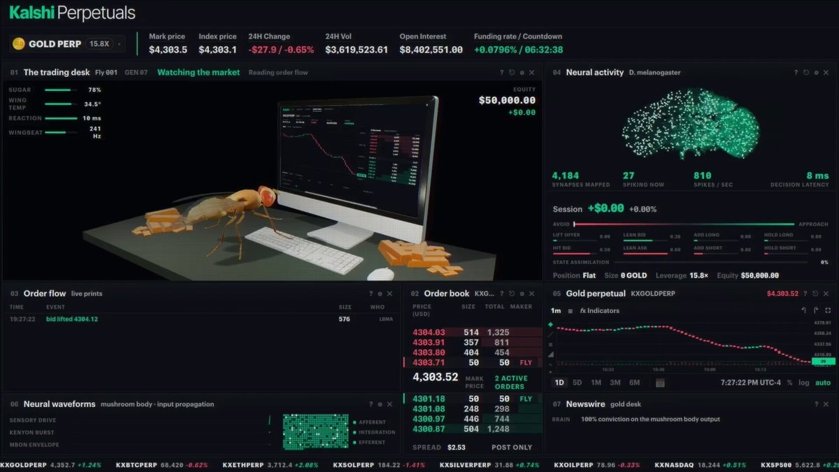fruit fly market maker gold