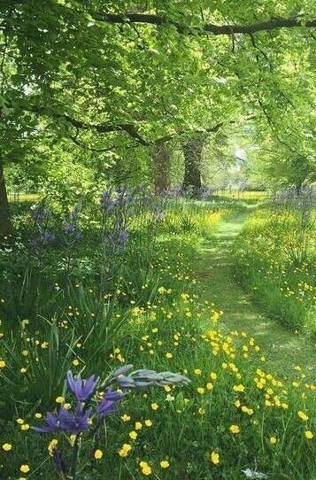 Serene stream in green landscape (photo 2 of 4)
