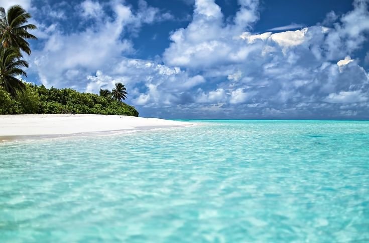 Maldives beach (photo 2 of 2)
