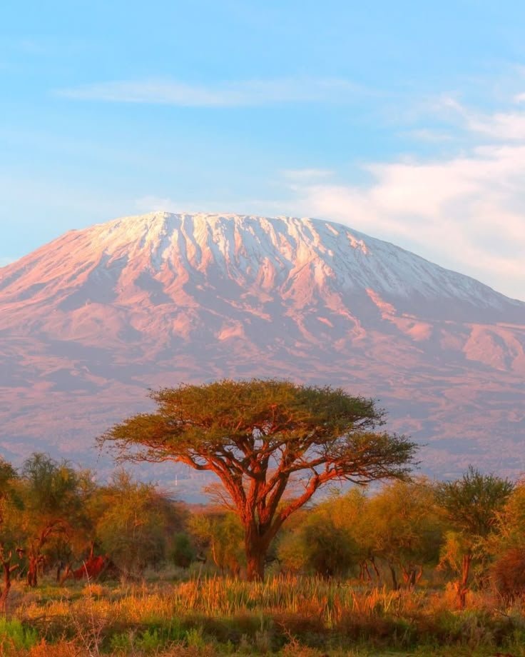 Mount Kilimanjaro Kenya sunset (photo 2 of 3)