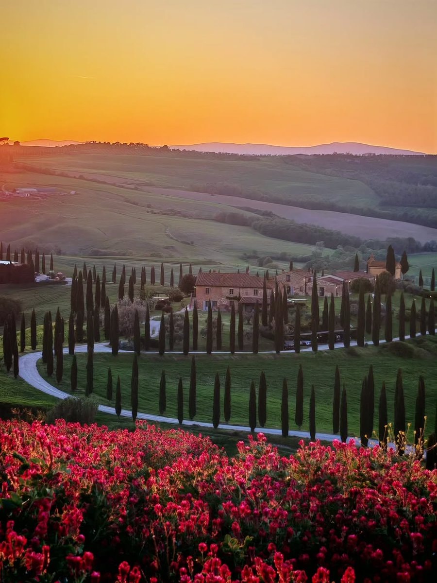 Tuscany Italy 🇮🇹 (photo 2 of 4)