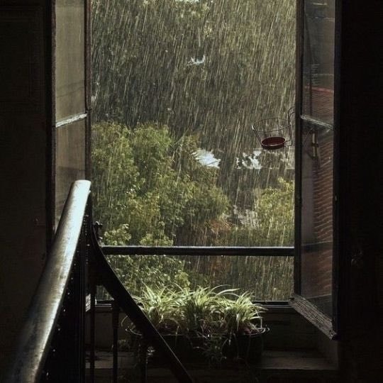 Rainy park atmosphere (photo 3 of 4)