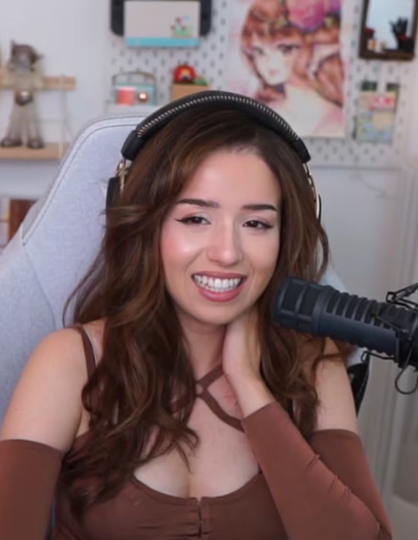 pokimane mimi cat (photo 2 of 2)