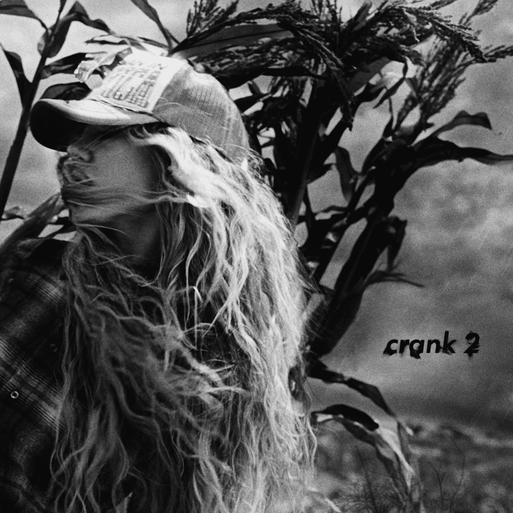 Slayyyter crank 2 streaming stats