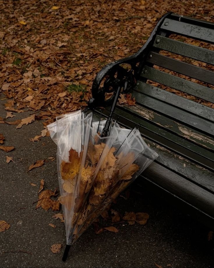 autumn vibes (photo 4 of 4)