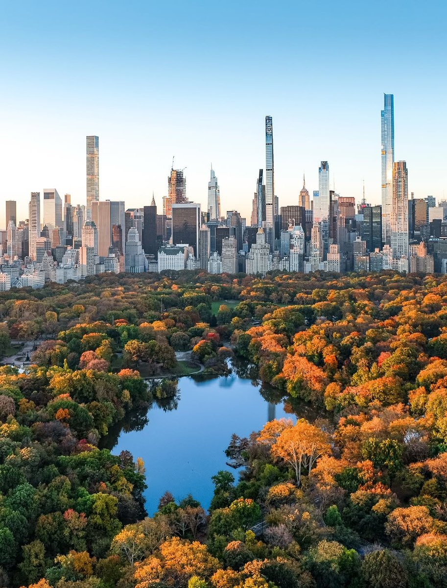 Central Park New York autumn (photo 4 of 4)